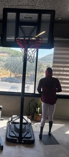מתקן סל נייד 