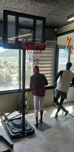 מתקן סל נייד 