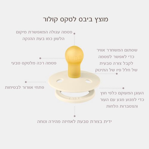 מוצצי ביבס לטקס קולור באריזה זוגית, פטמה עגולה, שנהב/מרווה-מידה +IVORY/SAGE -6