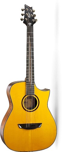 גיטרה אקוסטית מוגברת עם ארגז CORT LUXE II FRANK GAMBALE