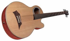 גיטרה בס אקוסטית 5 מיתרים WARWICK ALIEN DELUXE