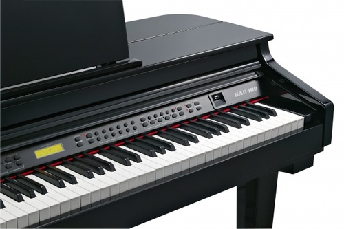 פסנתר כנף חשמלי שחור  88 קלידים (2 אריזות) KURZWEIL KAG100