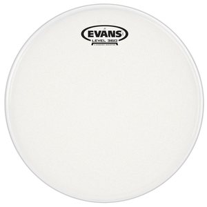 עור "12 EVANS J1 ETCHED HEAD