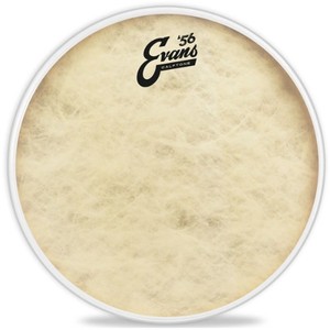 עור "16 EVANS Calftone