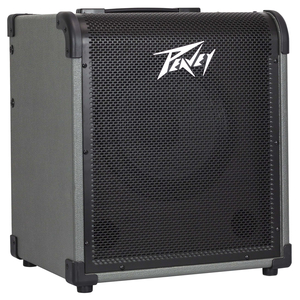 מגבר לבס 100W רמקול "10 PEAVEY MAX100