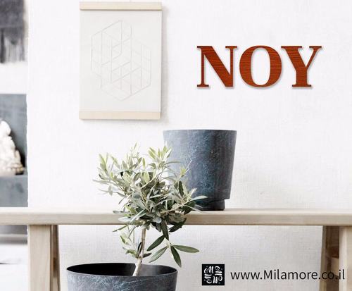 אותיות מעוצבות גובה 20 עץ איכותי לתלייה - אותיות בודדות מחיר לפי אות
