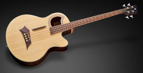 גיטרה בס אקוסטית 4 מיתרים WARWICK ALIEN DELUXE