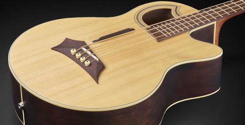 גיטרה בס אקוסטית 4 מיתרים WARWICK ALIEN DELUXE