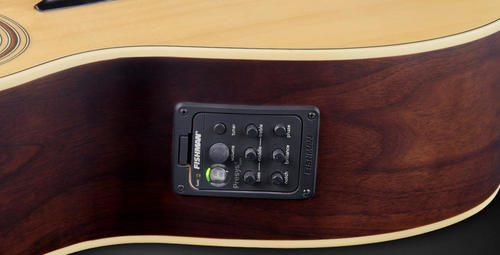 גיטרה בס אקוסטית 4 מיתרים WARWICK ALIEN DELUXE