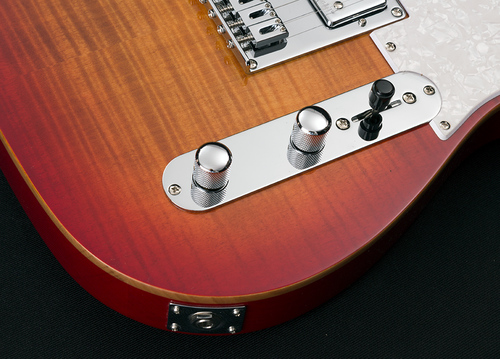 גיטרה חשמלית MICHAEL KELLY 53DB HH Pau Ferro Dark Tiger's Eye