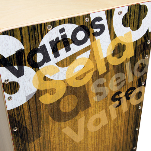 קחון + נרתיק פד וספר לימוד SELA Varios Gold Bundle SE132EN