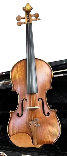 ויולה 4/4 קומפלט VA-335 15.5