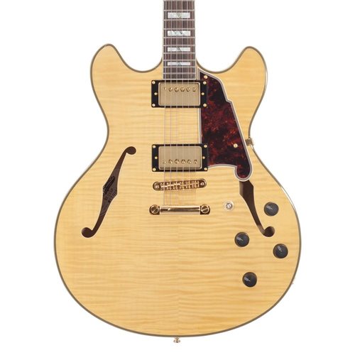 גיטרה רבע נפח D'Angelico EXCEL DC Natural