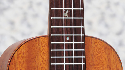 יוקללה קונצרט כולל נרתיק LEHO LHUC-ASM-CEL All Solid Mahogany