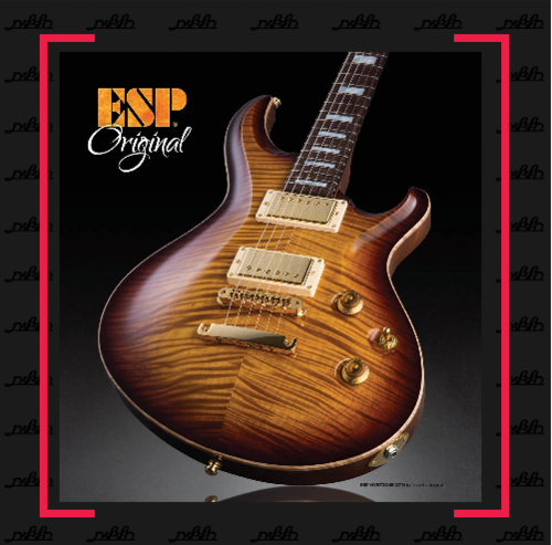 תמונת אווירה esp guitras בלוג חלילית פלוס