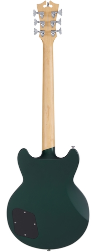 גיטרה חשמלית + נרתיק D'Angelico PREMIER BRIGHTON SHERWOOD GREEN