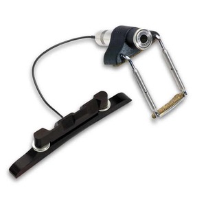 פיק אפ למנדולינה פישמן FISHMAN PRO-M20-0MA