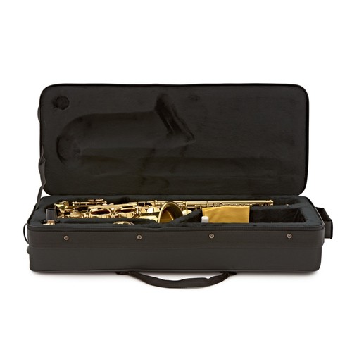 סקסופון אלט ELKHART 100AS LAC EB ALTO SAX, F#, C