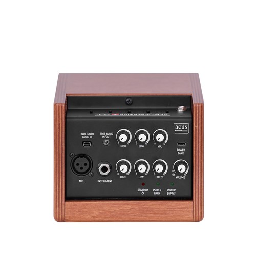 מגבר לאקוסטית Acus ONE FORSTRINGS 4 FERDI WOOD 40W RMS