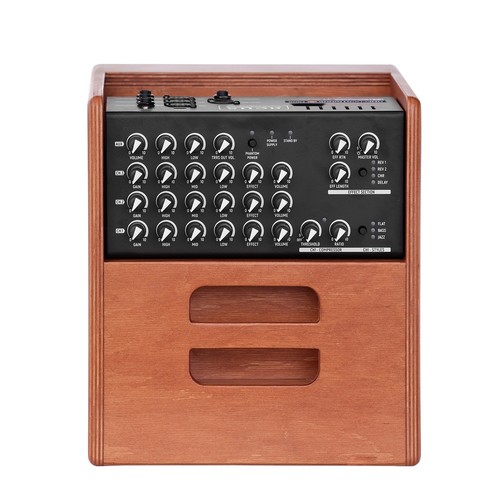 מגבר לאקוסטית Acus ONE FORSTRINGS 5 FERDI WOOD 70W RMS