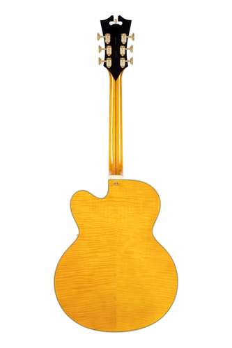 גיטרה נפח D'Angelico EXCEL EXL1 AMBER ARCHTOP