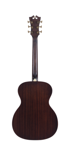 גיטרה אקוסטית מוגברת D'Angelico PREMIER TAMMANY NATURAL CUTAWAY