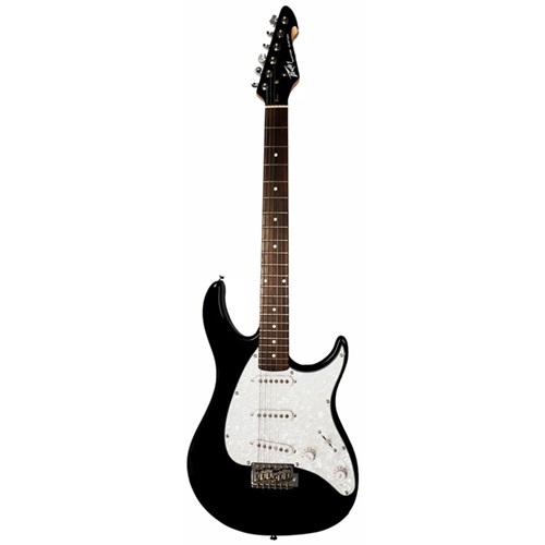 גיטרה חשמלית PEAVEY Raptor® Custom BLACK