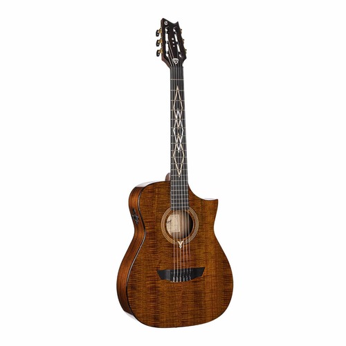גיטרה קלאסית מוגברת עם ארגז CORT LUXE NYLON FRANK GAMBALE