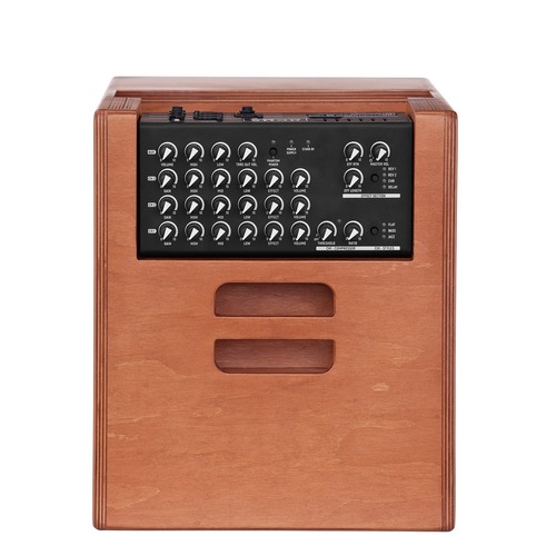 מגבר לאקוסטית Acus ONE FORSTRINGS 10 FERDI WOOD 250W RMS
