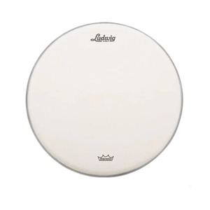 עור "14 לסנר LUDWIG LW114 COATED AMBASSADOR