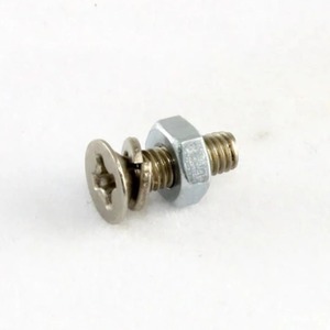 בורג לתפסן פיק גארד ללס פול ALLPARTS GS-0362-001 Pickguard Bracket Screw