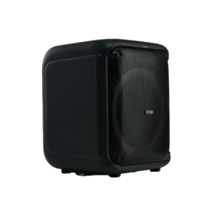 רמקול בידורית נייד 8 אינץ