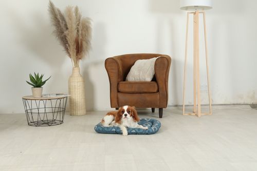 זולוקס כרית שינה מפנקת לכלבים   ONE SIRIUS SLEEPER CUSH