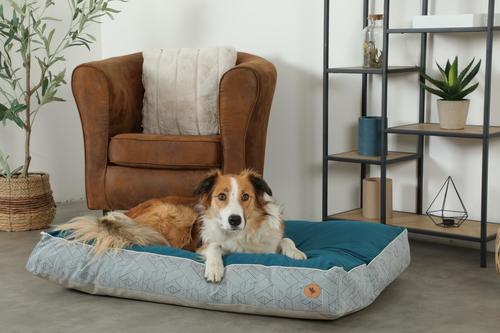 זולוקס כרית מנוחה איכותית לכלבים  KANGA CUSHION REMOV S70
