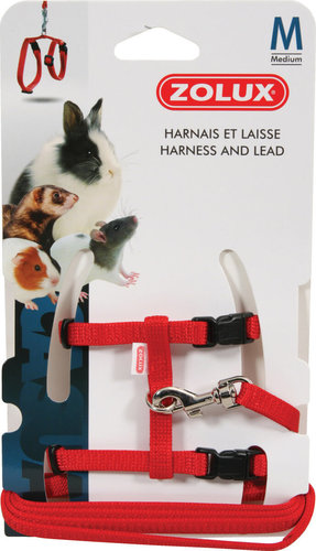זולוקס ריתמה למכרסמים HARNESS & LEAD