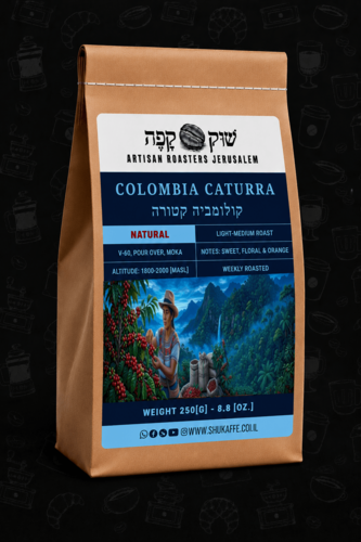 קולומביה קטורה