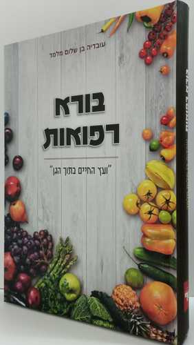 בורא רפואות