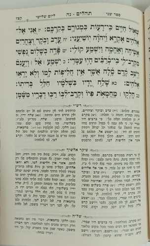תהלים עיקר אלשיך, רש