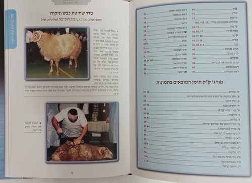 אור ההלכה - יורה דעה