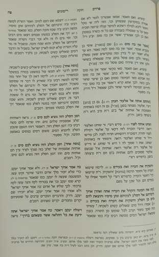 פרדס רימונים ב