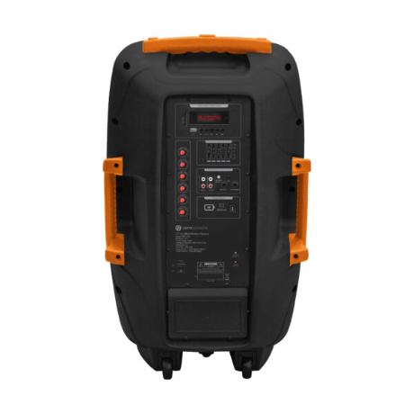 רמקול מוגבר + זוג מיקרופונים אלחוטיים Pure Acoustics PMW-4412