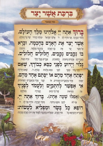 ברכת אשר יצר 