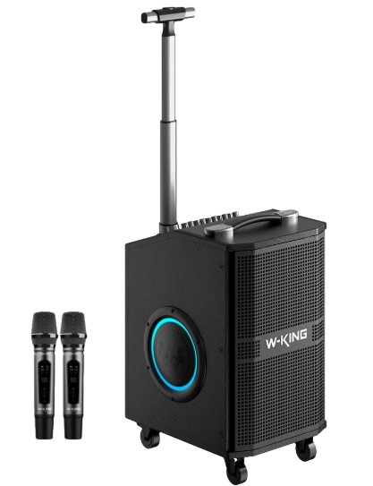 בידורית ושני מיקרופונים W-King K21SE 120W