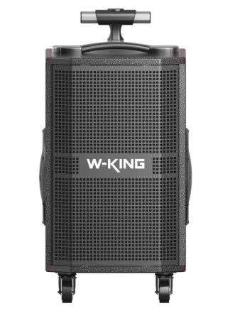 בידורית ושני מיקרופונים W-King K21SE 120W