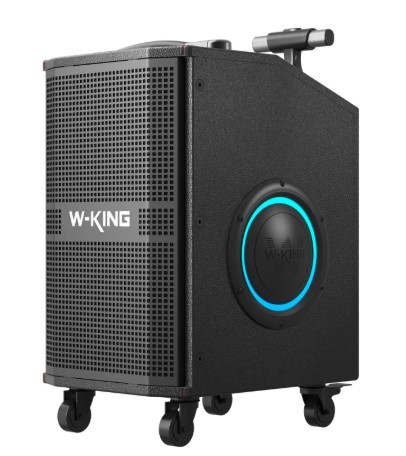 בידורית ושני מיקרופונים W-King K21SE 120W
