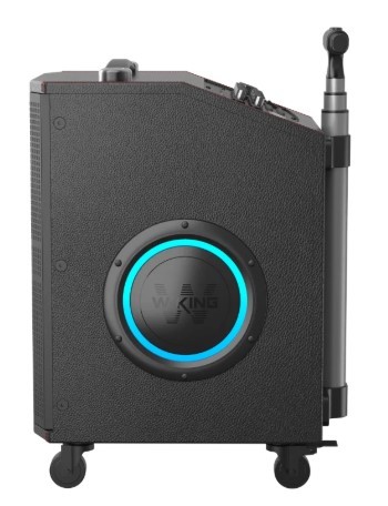 בידורית ושני מיקרופונים W-King K21SE 120W