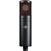 מיקרופון Antelope Audio Edge Duo