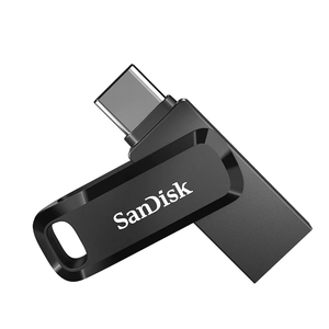 התקן זיכרון | DUAL USB3.1 TYPEC GO 256BG