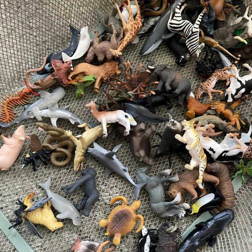  תמונת לקוחה - תפזורת של חרקים מטיוב Collecta יחד עם חיות משחק שונות