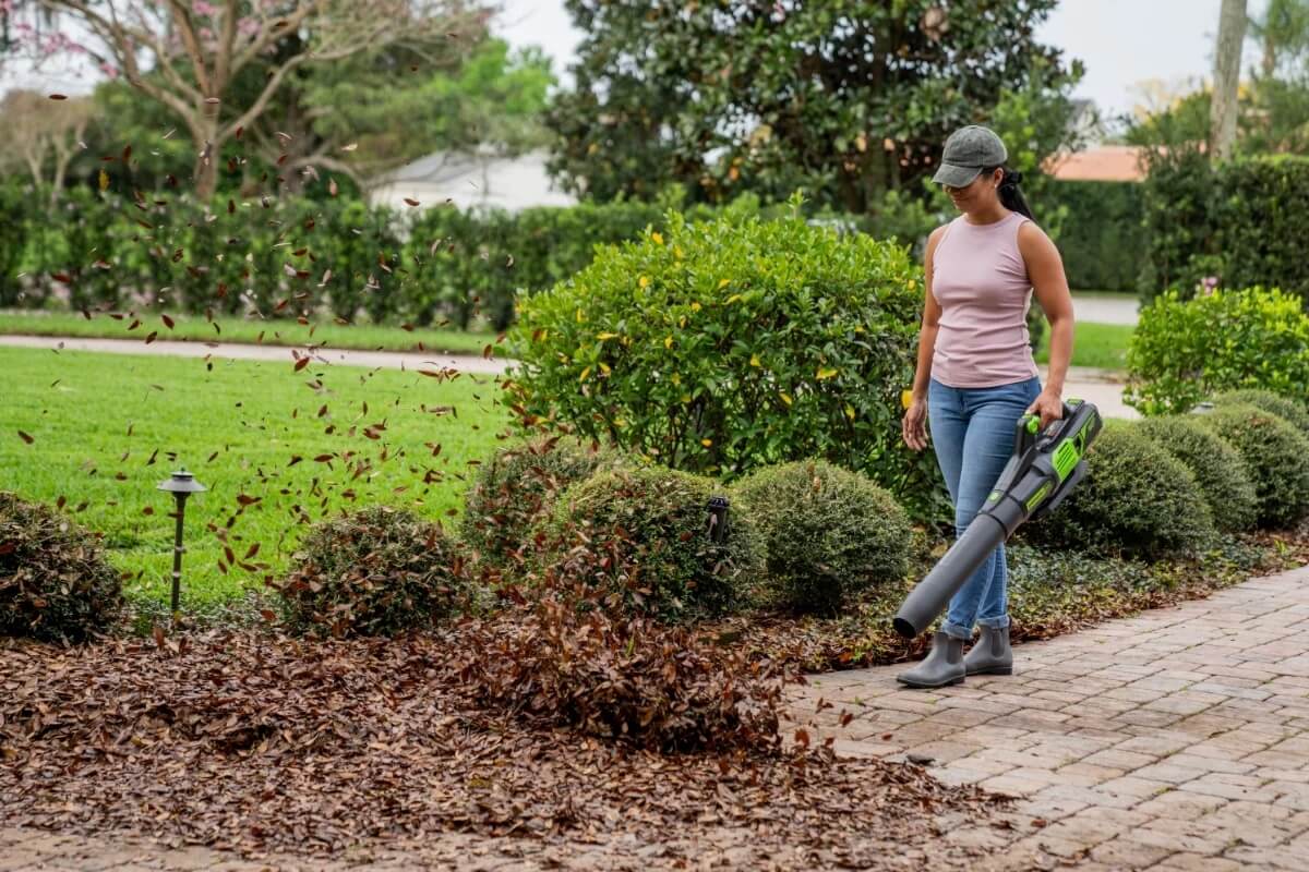 מפוח Greenworks: מה הוא יכול לעשות בגינה, ואיך לבחור את הדגם שמתאים לך